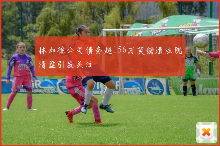 林加德公司债务超156万英镑遭法院清盘引发关注