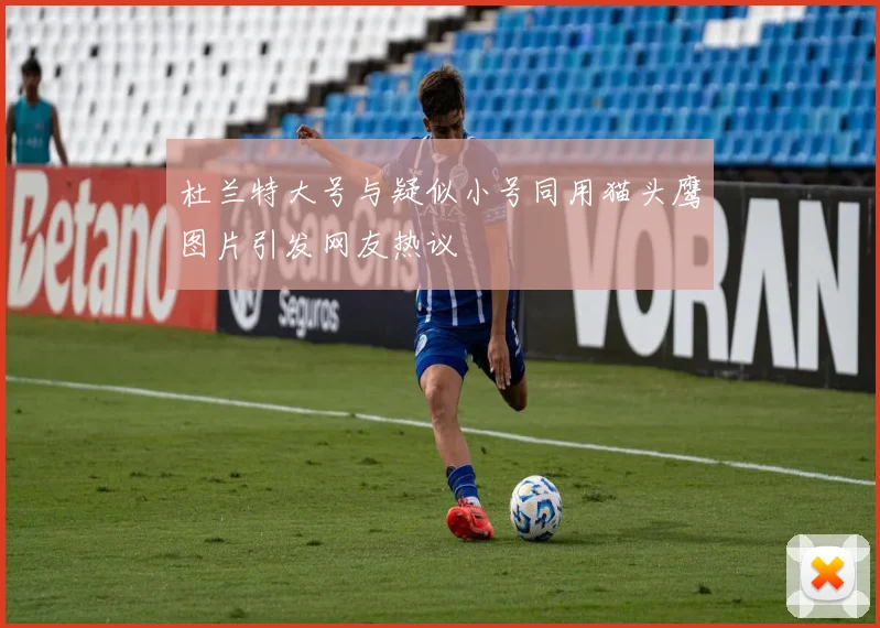 杜兰特大号与疑似小号同用猫头鹰图片引发网友热议