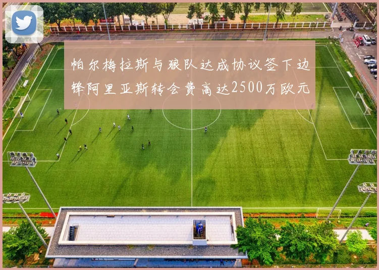 帕尔梅拉斯与狼队达成协议签下边锋阿里亚斯转会费高达2500万欧元